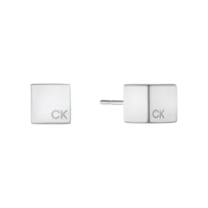 Calvin Klein Earrings Ref : 35000245