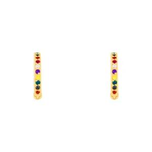 Rainbow Hoop Earrings