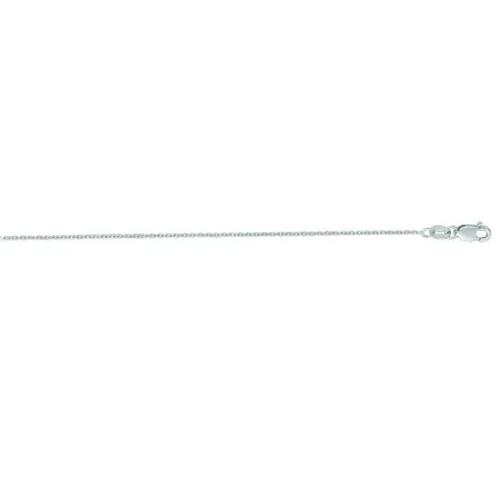 Sincerely Springer's 14k White Gold 16" Cable Chain Necklace